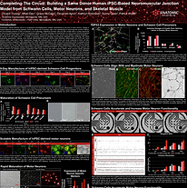 Screenshot 2024-06-21 083254.png