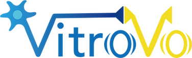 logo_vitrovo.png