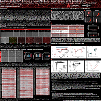 Screenshot 2026-04-23 090011.png