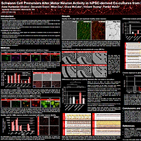 Screenshot 2024-10-25 084044.png