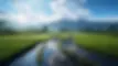 selfdecode_marketing_clean_water_landscape_close_up_farming_4k__132b16d8-d199-4335-bff6-b0