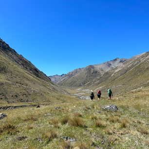 Molesworth Leatham Circuit