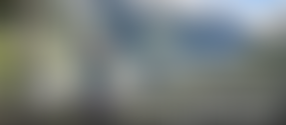 NZ Hiking Adventures