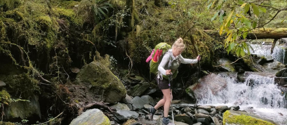 Challenging Overnight Hike to Pell Stream Hut