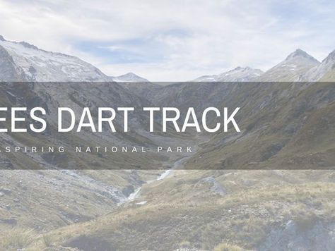 Rees Dart Track