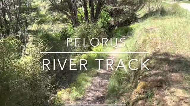 Pelorus River Track - Te Araroa Trail Section Hike
