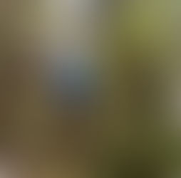 Into the Wild Taramakau – A Challenging Circuit via Townsend Hut and Minchin Pass