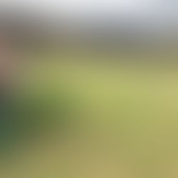 North Canterbury Hikes