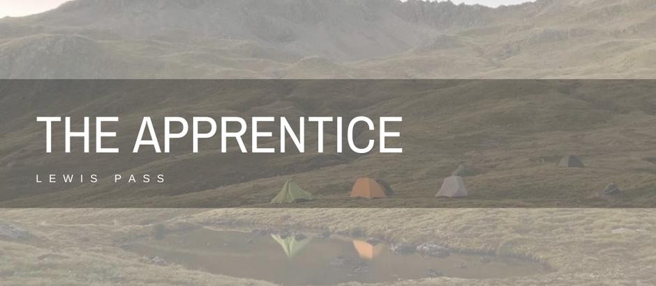 The Apprentice