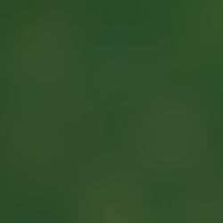 How better access to satellite imagery is helping fight deforestation