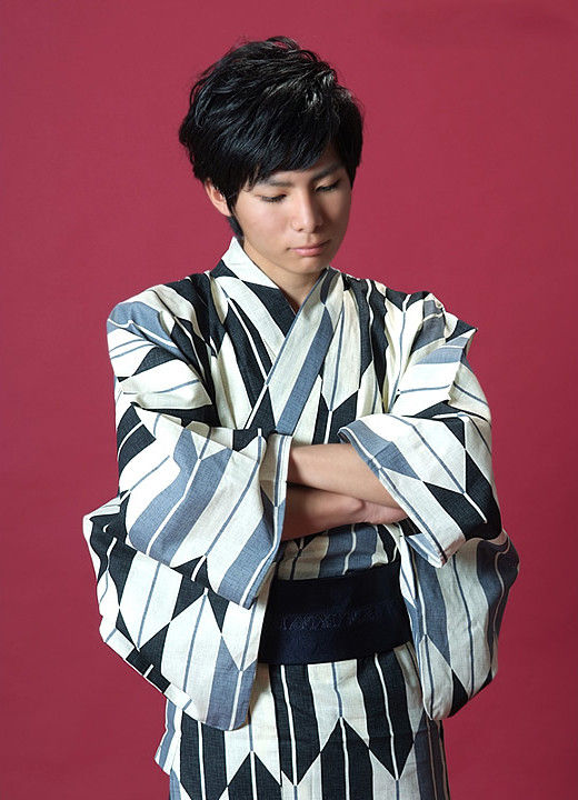 Flèches Grise et Noire