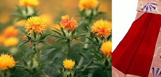Soie rouge (Momi 紅絹)