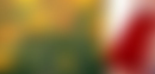 Soie rouge (Momi 紅絹)