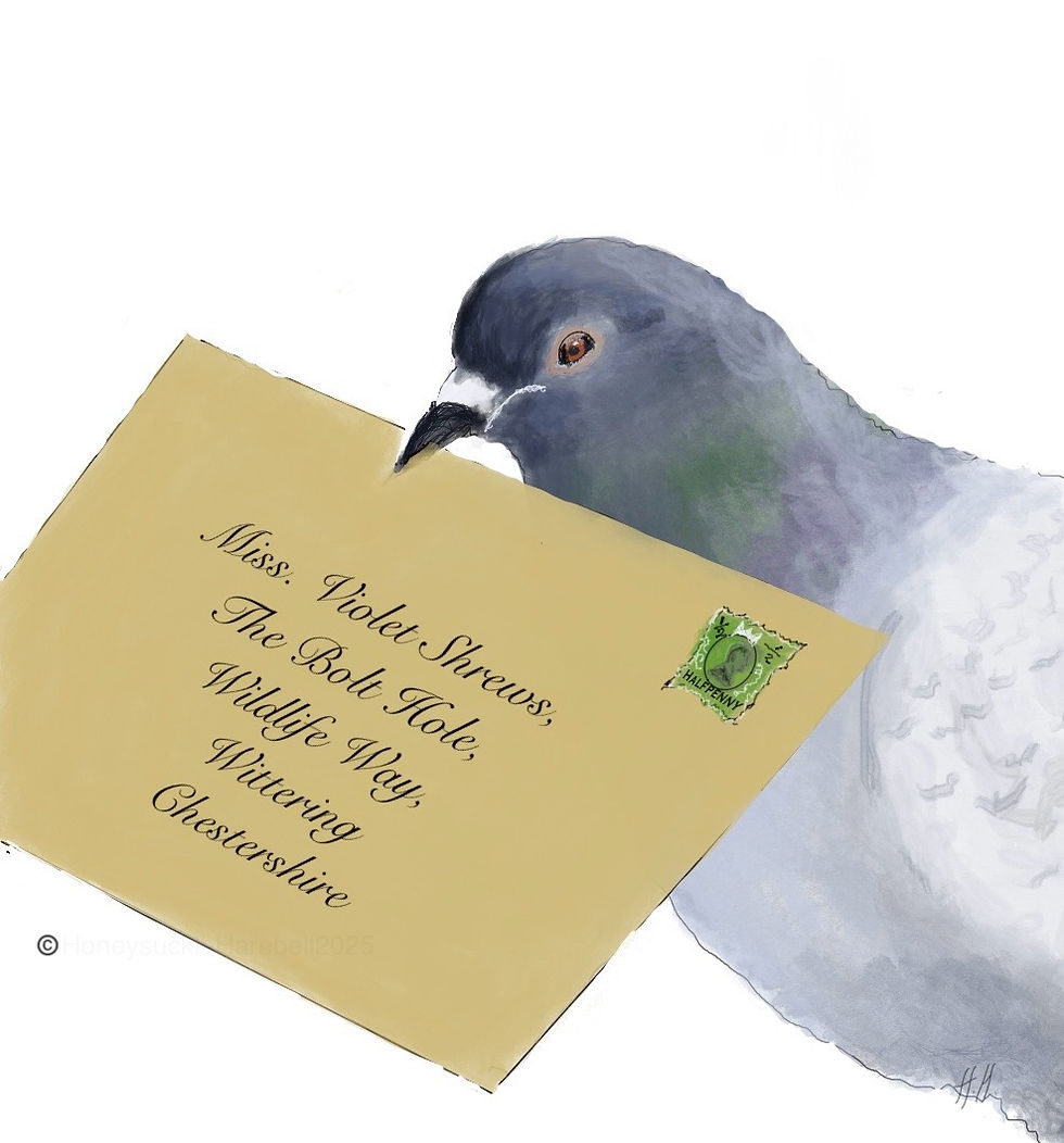 Watercolour of head of a Pigeon carrying a letter addressed to Miss Violet Shrewsa ,The Bolt Hole ,Wittering