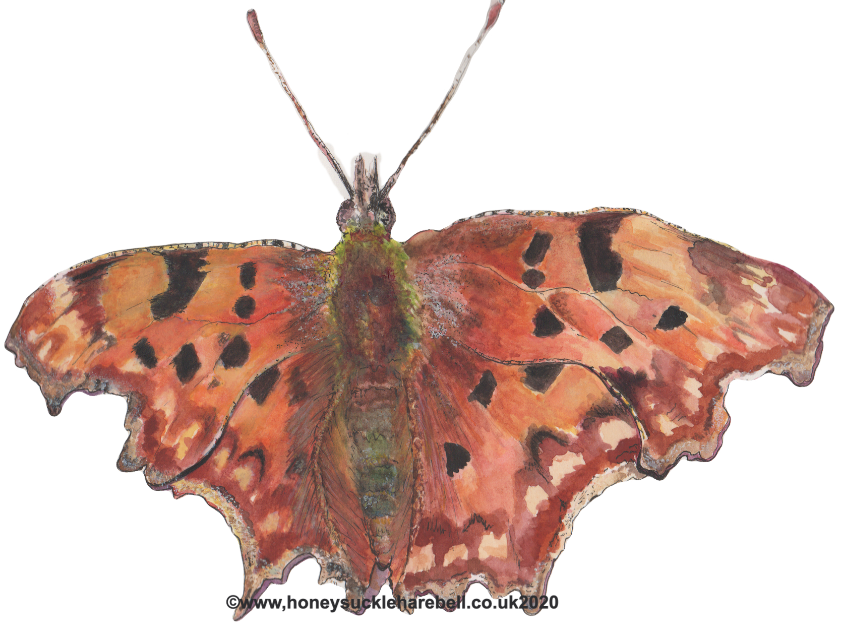 A Comma ,
