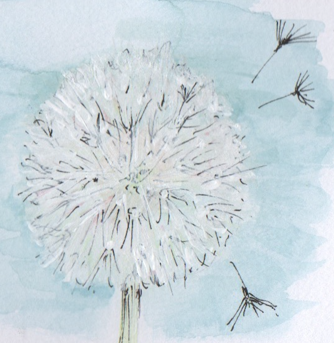 Dandelion Clock