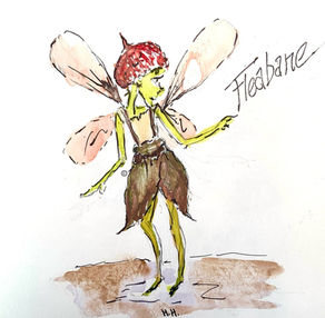 Illustration of an orphan Fairy