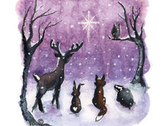 illustration of woodland seen with deer hare fox badger and owl gazing at bright star while snow falls