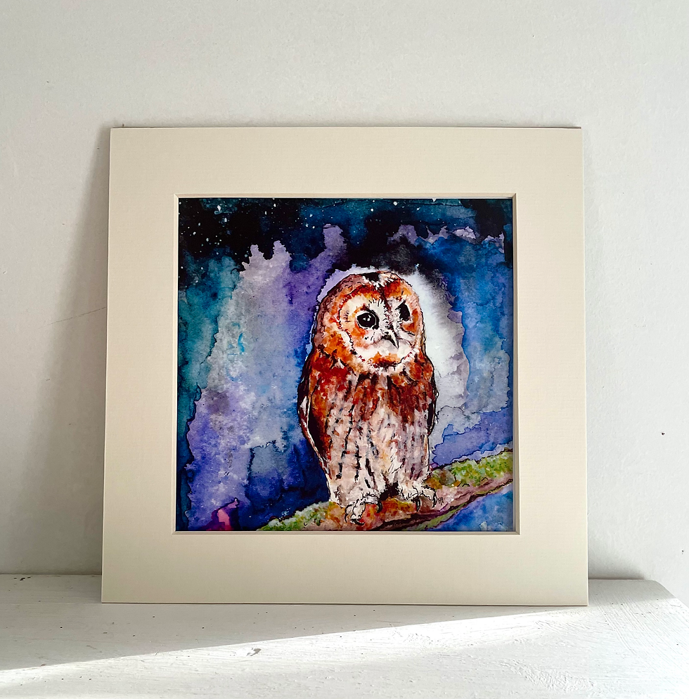 Nightfall- Print/Card