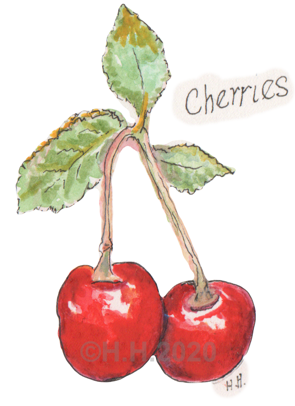 Cherries