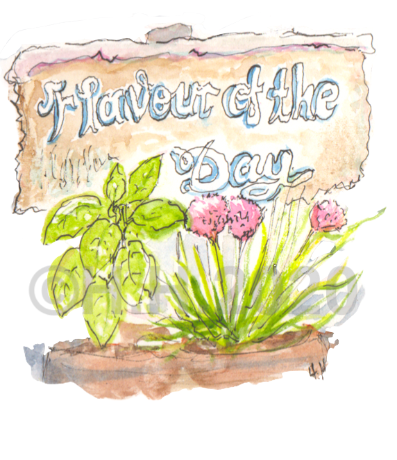 Flavour of the Day