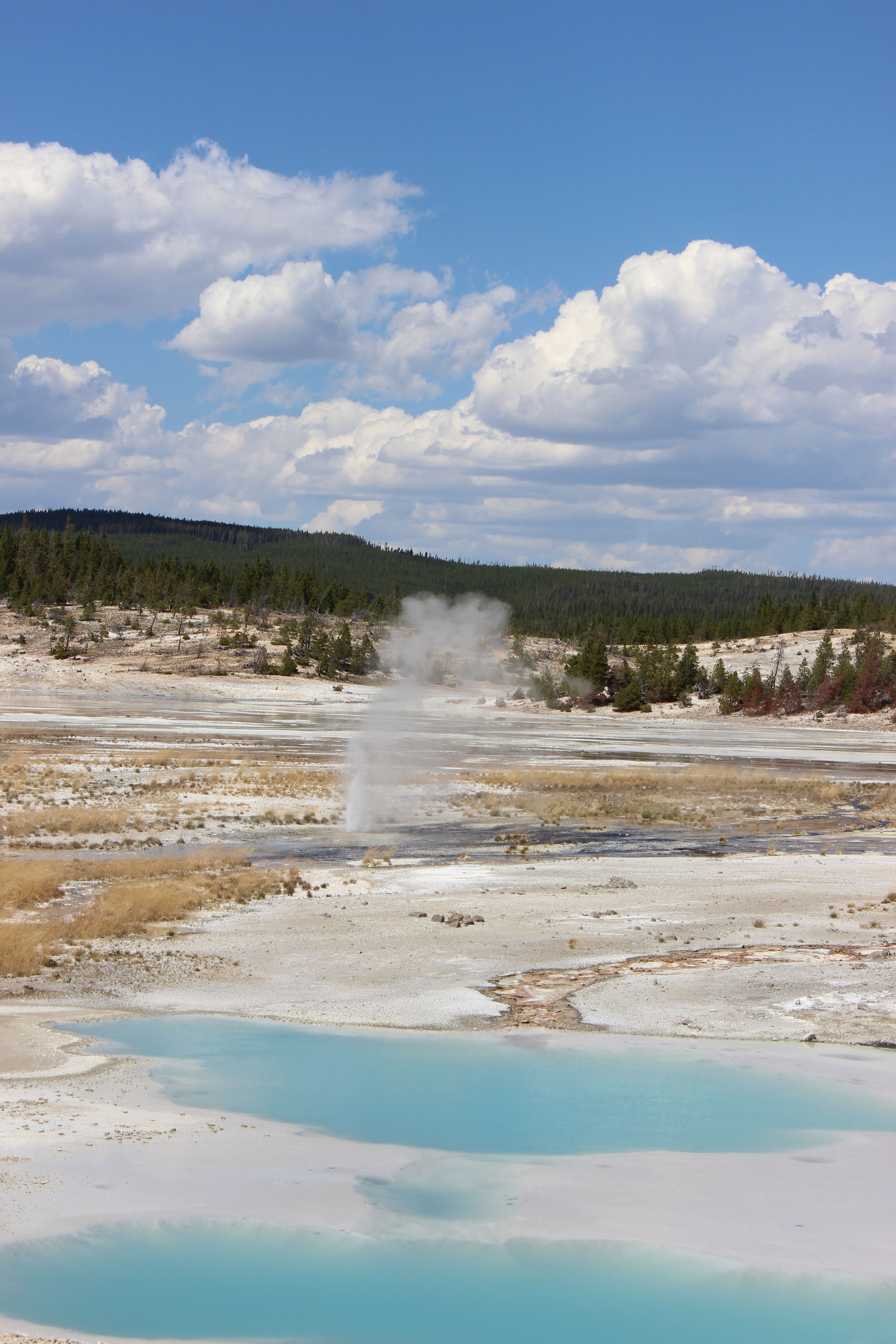 Yellowstone 9