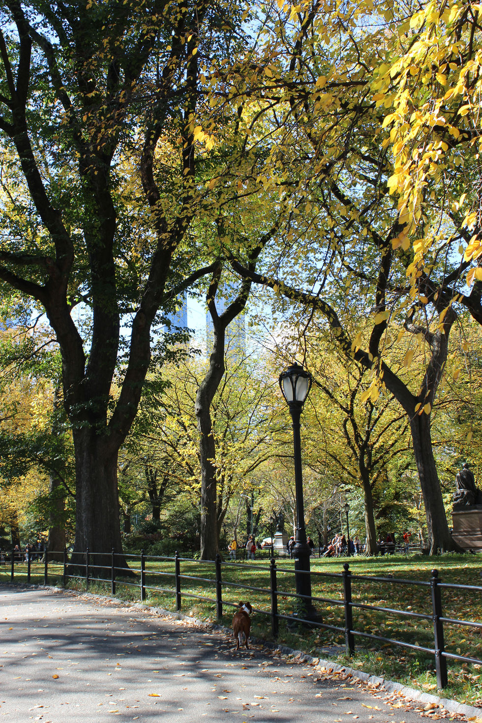 Central Park Fall 3