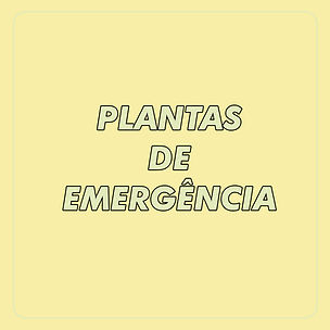 plantas de emergência