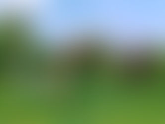 Unforgettable Day at The Lake