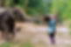 The-Lake-Phuket-Elephant-Home-ethical-1-website.jpg