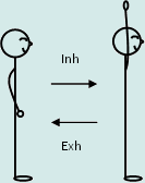 breathingexercises1.gif