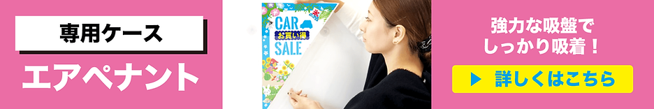 専用ケースエアペナント