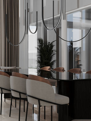 0Corona Camera021.JPG