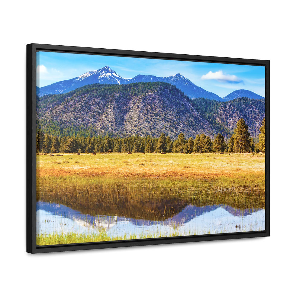 Thumbnail: Arizona Humphreys Peak Landscape Canvas Print, Cotton Fabric Walnut/Black Frame