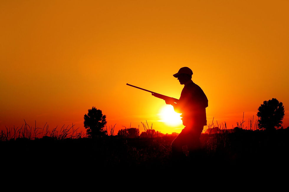 Hunter silhouette at sunset in Arizona Hunt Unit 4B: showcasing Rim Country wilderness, elk hunting terrain, and scenic Mogollon Rim skies.