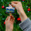 Thumbnail: 2024 Arizona Humphreys Peak Ornament Glossy Ceramic Exclusive by ADVENTURE iDIAZ