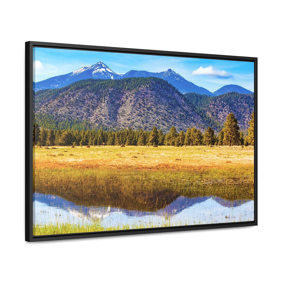 Thumbnail: Arizona Humphreys Peak Landscape Canvas Print, Cotton Fabric Walnut/Black Frame
