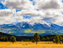 Arizona Hunt Unit 7 East Map – Elk Country in the San Francisco Peaks