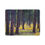Thumbnail: Arizona Ponderosa Pillars Fleece Sherpa Blanket