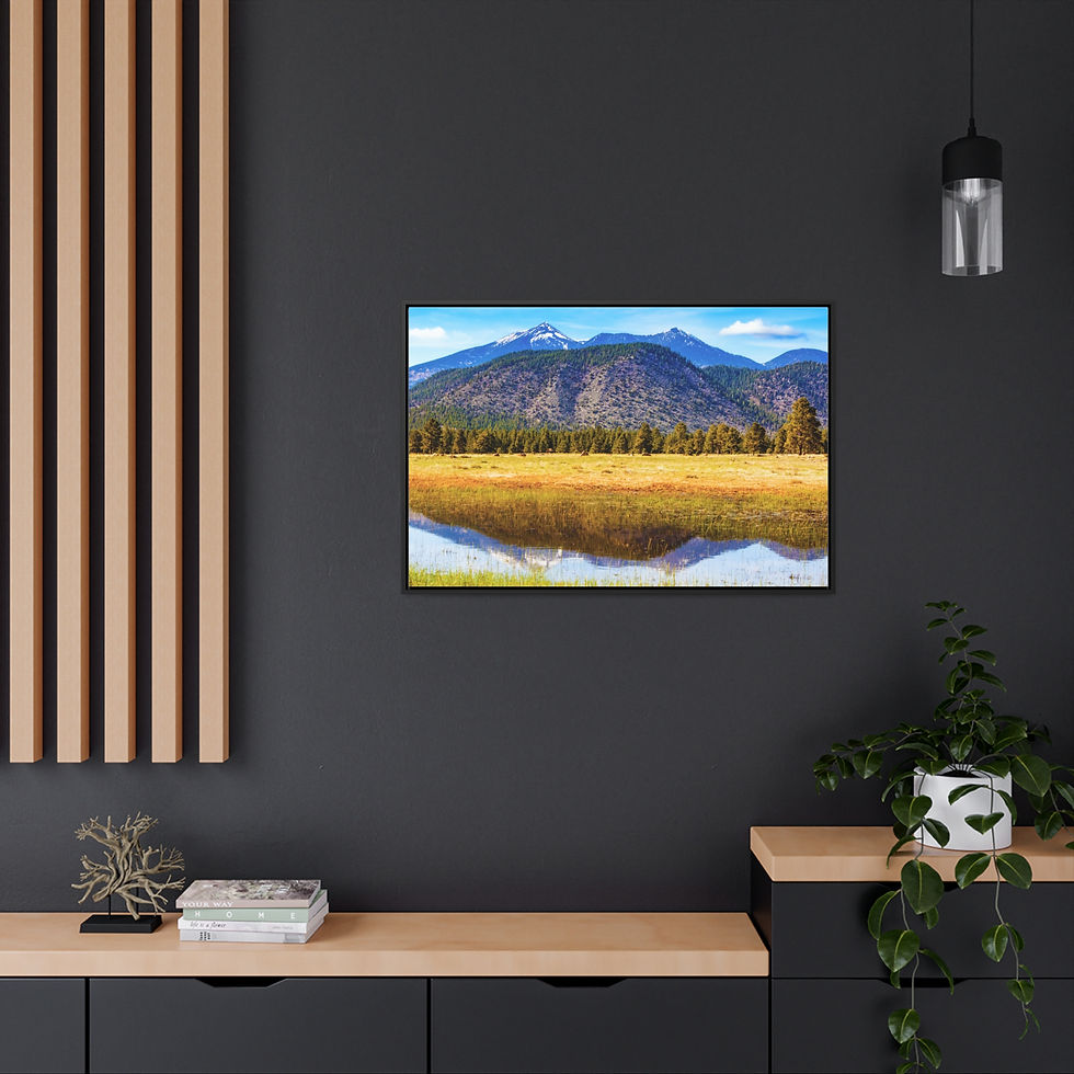 Thumbnail: Arizona Humphreys Peak Landscape Canvas Print, Cotton Fabric Walnut/Black Frame