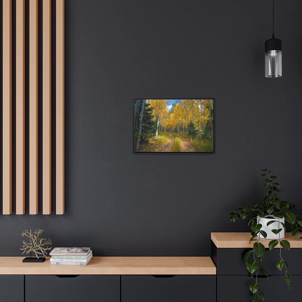 Thumbnail: Arizona Aspen Trails Canvas Print, Cotton Fabric, Walnut/Black Frame (HU 1)