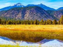 Arizona high-country mountain landscape with a clear blue sky, trees, and a grassy field reflected in a calm water body below. Snowcaps visible on peaks.