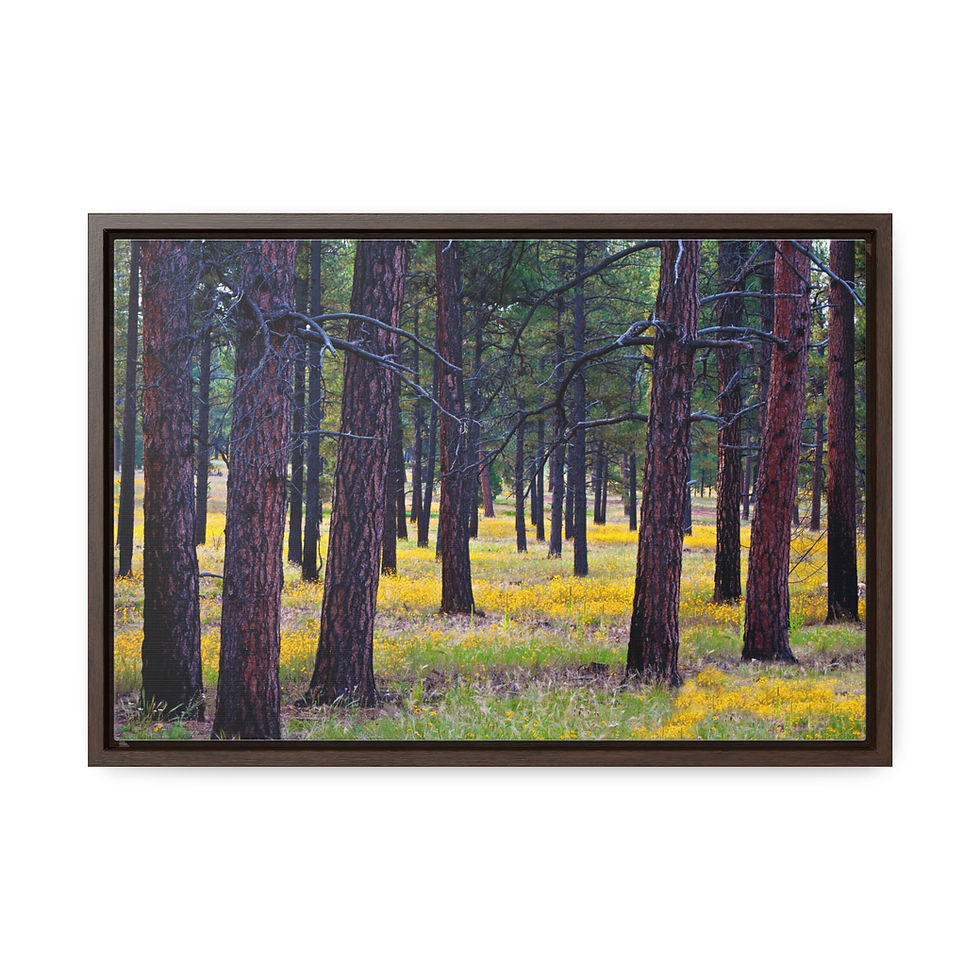 Thumbnail: Arizona Landscape Canvas Print - Cotton Fabric, Walnut or Black Frame (HU 20A)