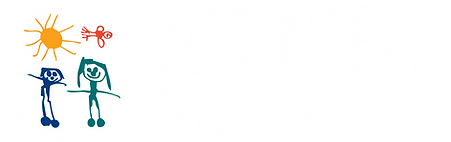 ness_logo_website.png