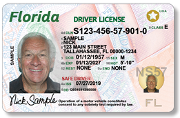 Florida Car Registration Everything You Need To Know
