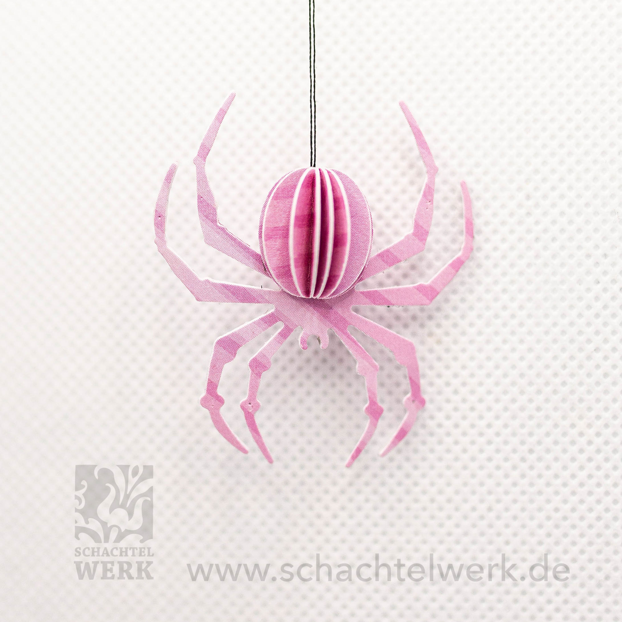 Spinne "Sabine"