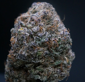 GALACTIC WARHEADS JULY 13, 2025 5.JPG