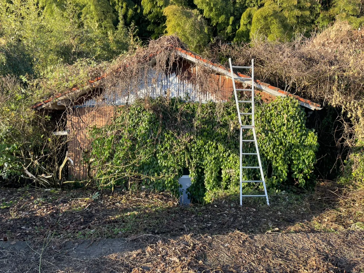 島原市の木造平屋の解体(着工前)
