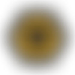 20250116 뉴캐슬 vs 울버햄턴 경기 예측