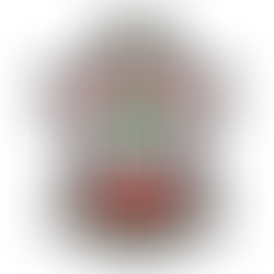 사우샘프턴 엠블럼